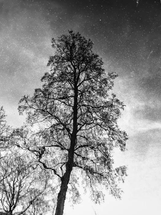 Imaginative: Ohne Titel