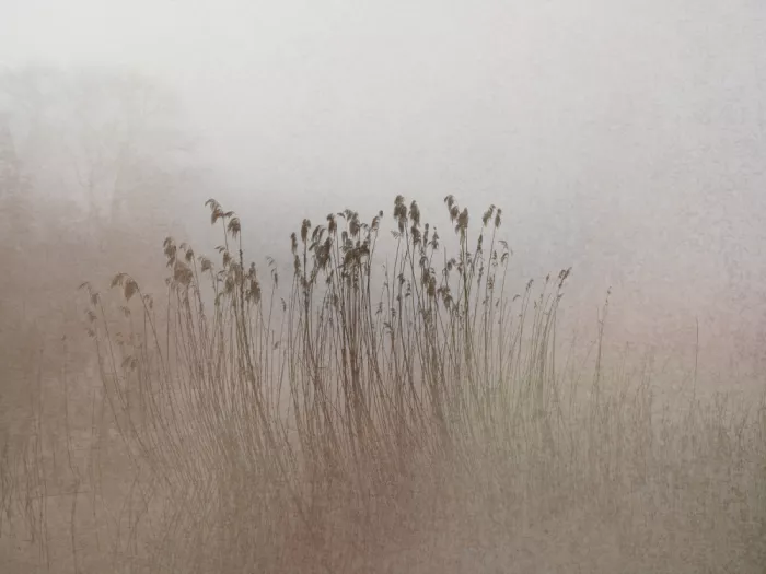 Imaginative: Ohne Titel