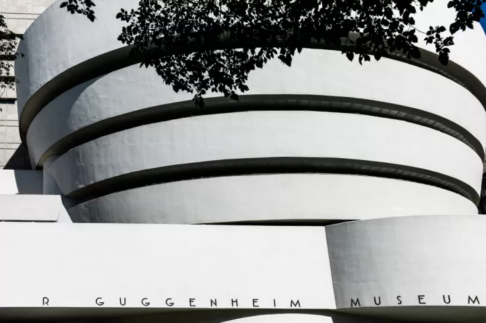 Clint, by Shot: Museo de curvas modernas