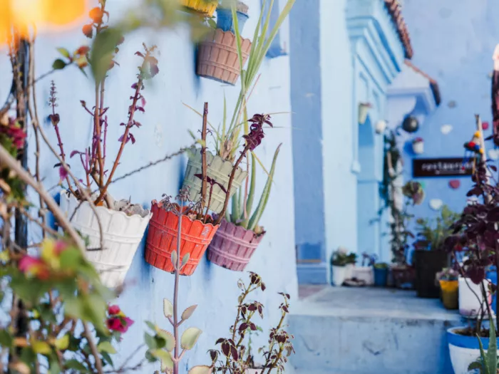 Photolovers: Potted Florals In Chefchaouen