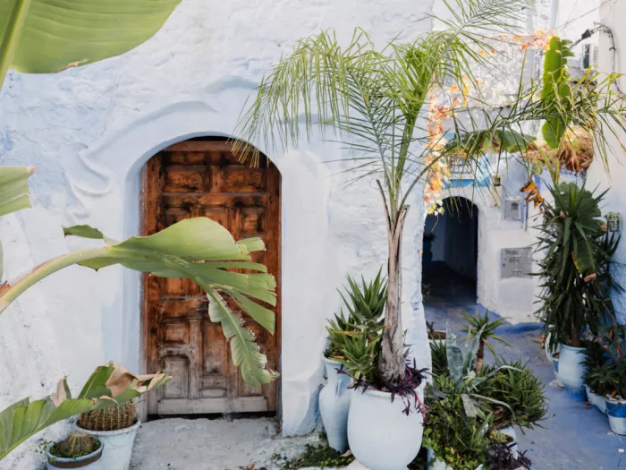 Photolovers: Cerámica y plantas en Marruecos
