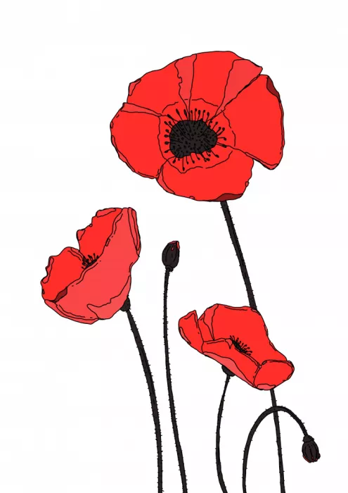 Nicholas: Lebendiges Muster roter Mohnblüten