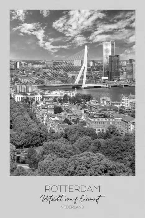 Viola, Melanie: ROTTERDAM Vista dall