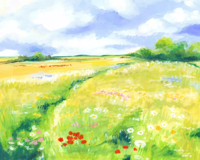 Brent, Isabelle: Prairie de fleurs sauvages