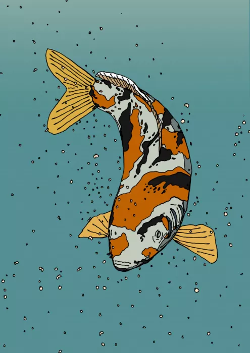 Nicholas: Koi in Bewegung