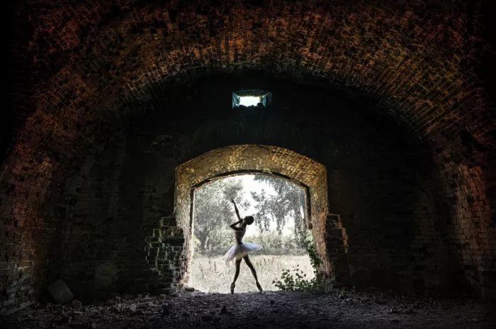 Szmidt, Waldemar: Arc and Ballerina