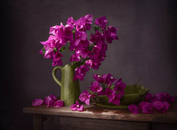 Perfoncio, Margareth: Bougainvillea