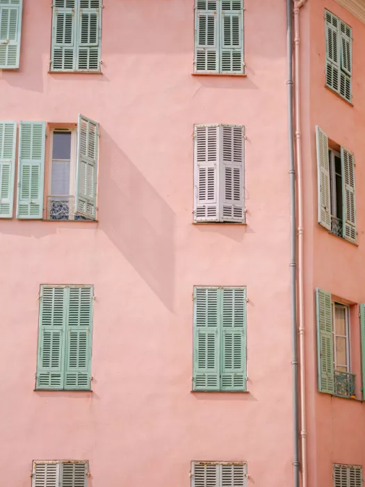 Zwart, Raisa: Pink Building