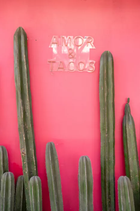 Zwart, Raisa: Vibrant Pink Wall With Tall Green Cacti