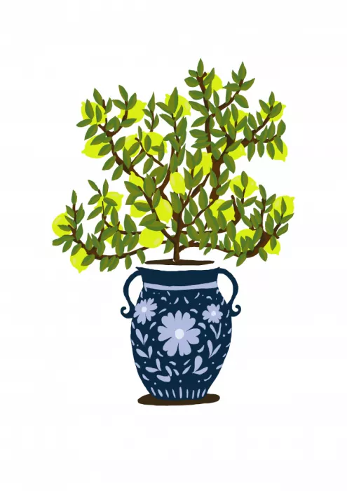 Nicholas: Limone con vaso decorativo