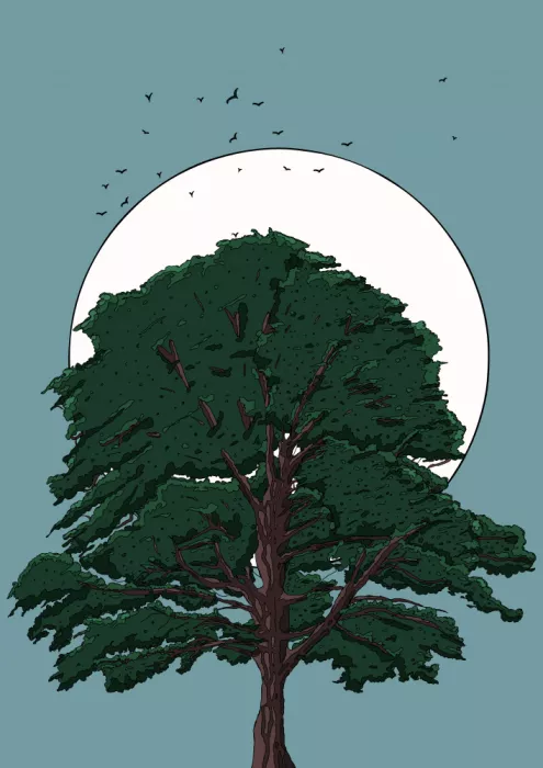 Nicholas: Árbol y Luna