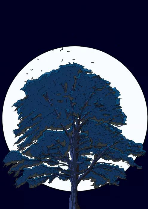Nicholas: Albero al Chiaro di Luna