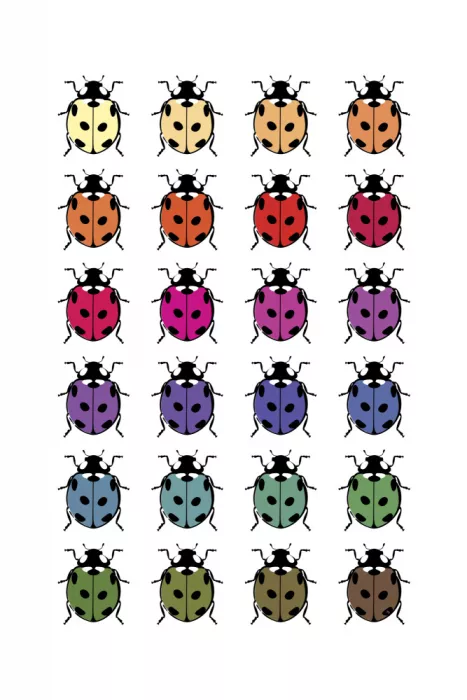 Martina: Sfilata di scarabei vibranti