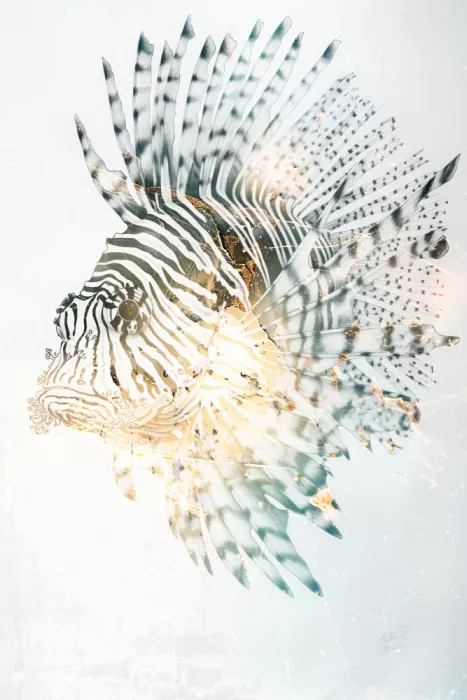 Kulik, Rafal: Arte animale Illustrazione 87