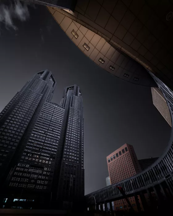 Y., Tomoyasu: Tokyo Metropolitan Government Office