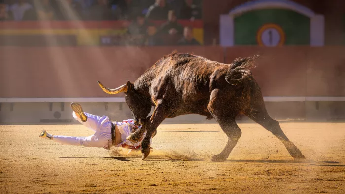 Ribes, Gustavo: Sin título