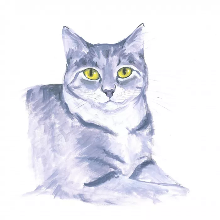 Brent, Isabelle: Aufmerksame Katze