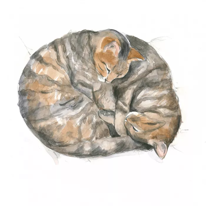 Brent, Isabelle: Chats ronds
