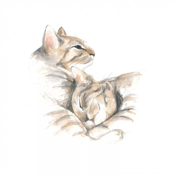 Brent, Isabelle: Gatos relajados