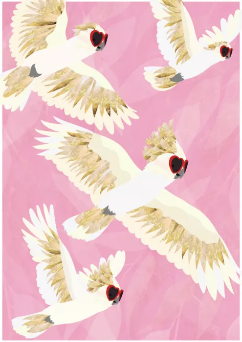 Manovski, Sarah: Cockatoos Flying Glasses