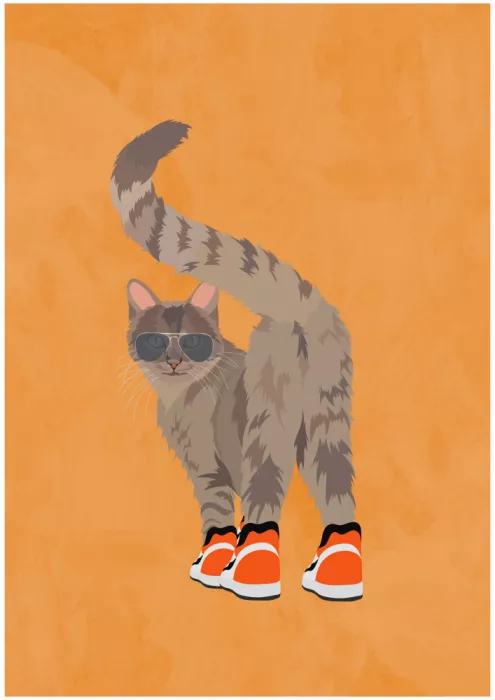 Manovski, Sarah: Cat wearing sneakers