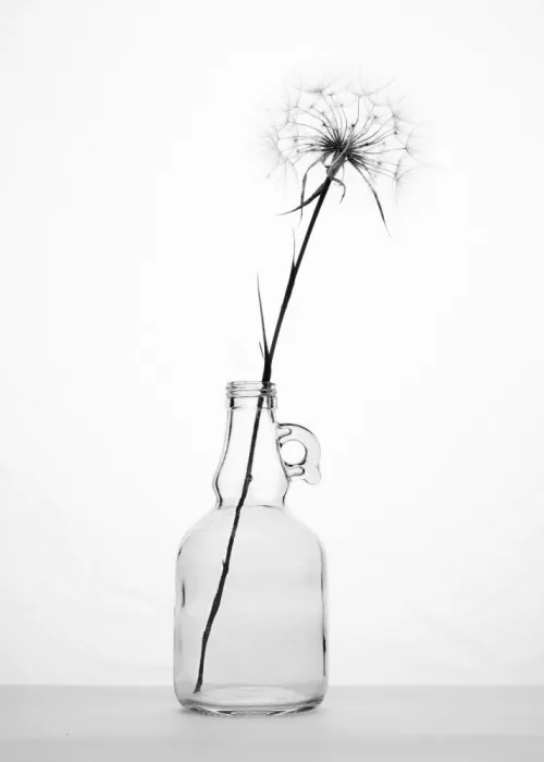Amer, Eyal: simplicity