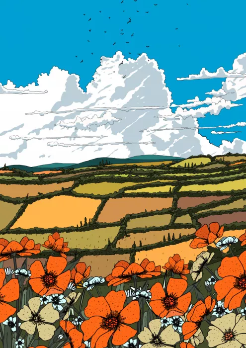 Nicholas: Prato di fiori selvatici estivi