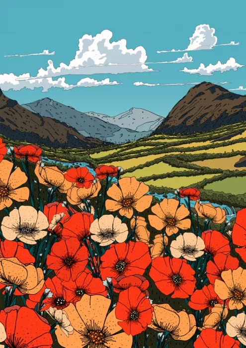Nicholas: Valle de Flores