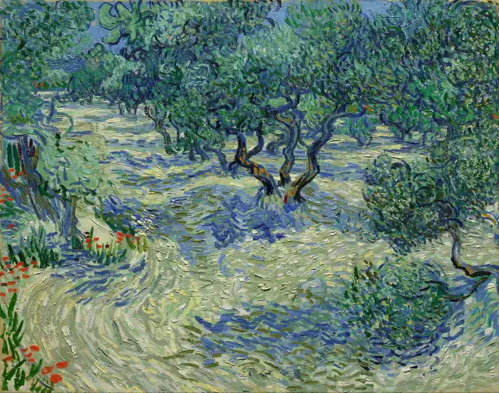 Gogh, Vincent van: Olivový sad