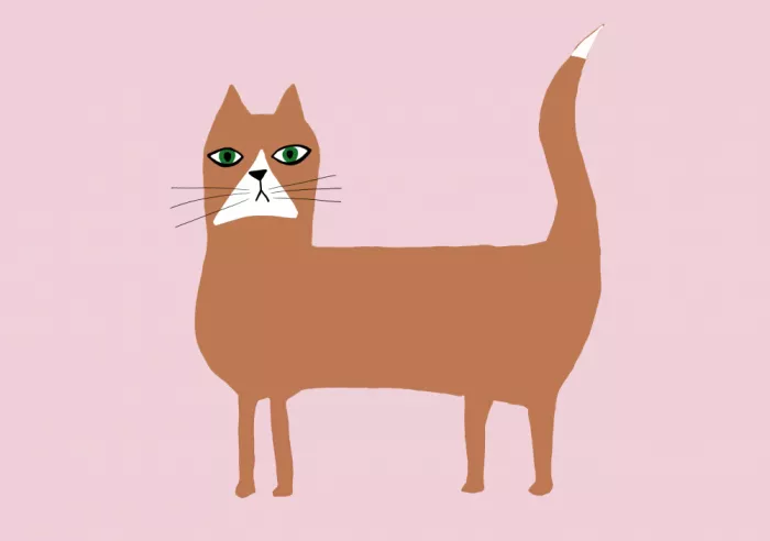 Bursic, Sharyn: Gatto arancione rosso
