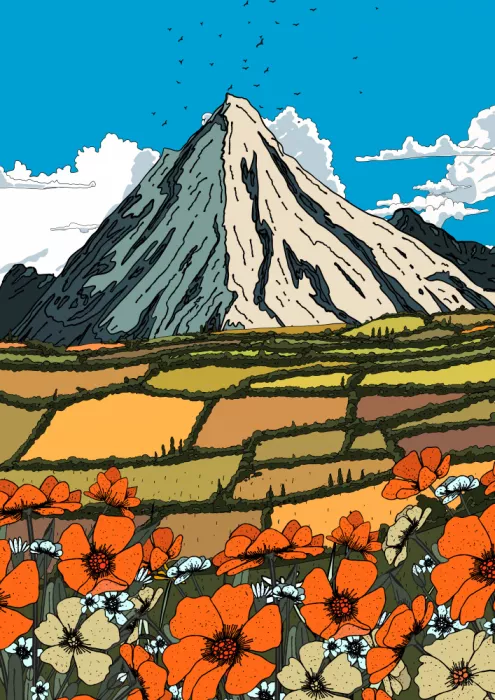 Nicholas: Veduta di montagne con papaveri