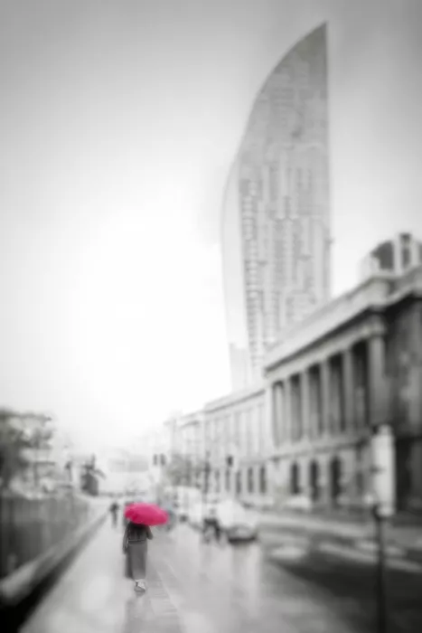 Liu, Sonya: Memories in the Rainy Afternoon