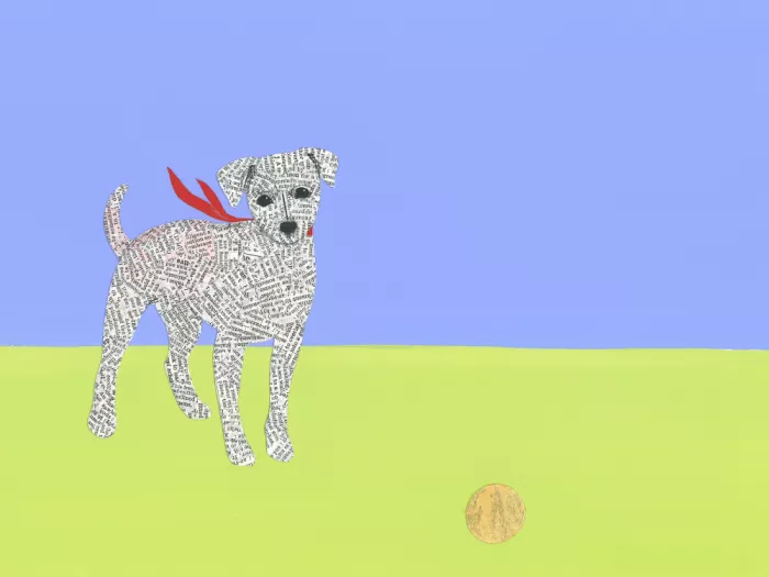 Brent, Isabelle: Un cane giocoso che indossa una sciarpa rossa