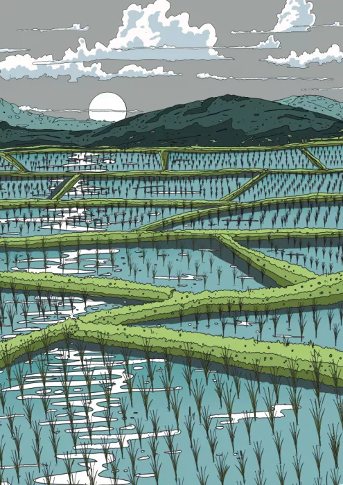 Nicholas: Paesaggio di risaia