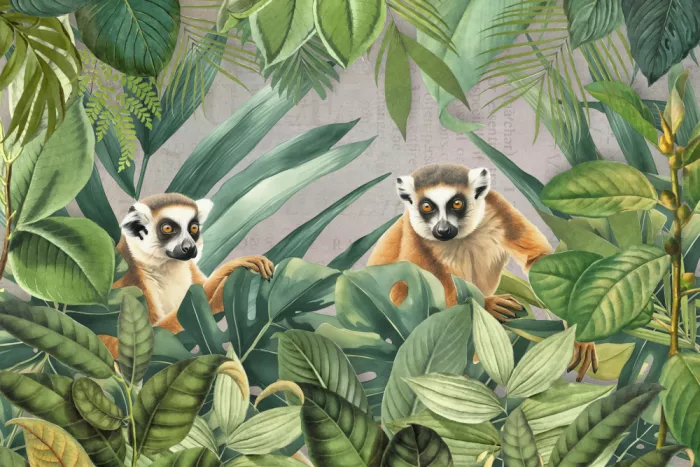 Haase, Andrea: Giungla dei lemuri