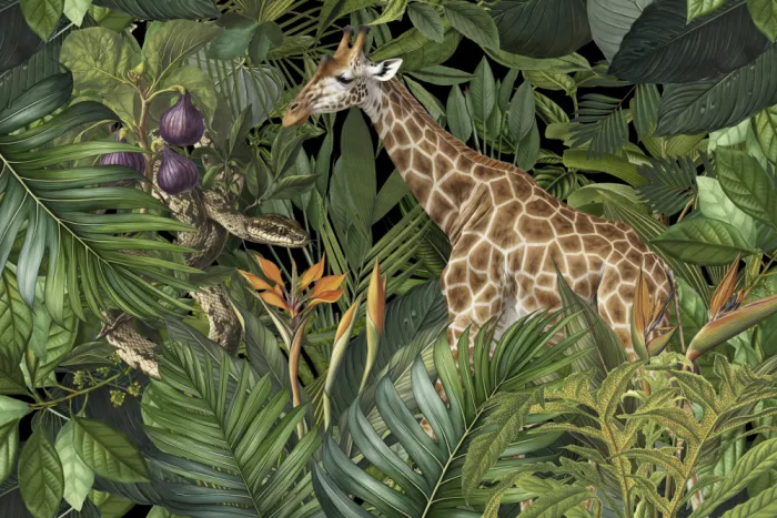 Haase, Andrea: Giraffa e Serpente