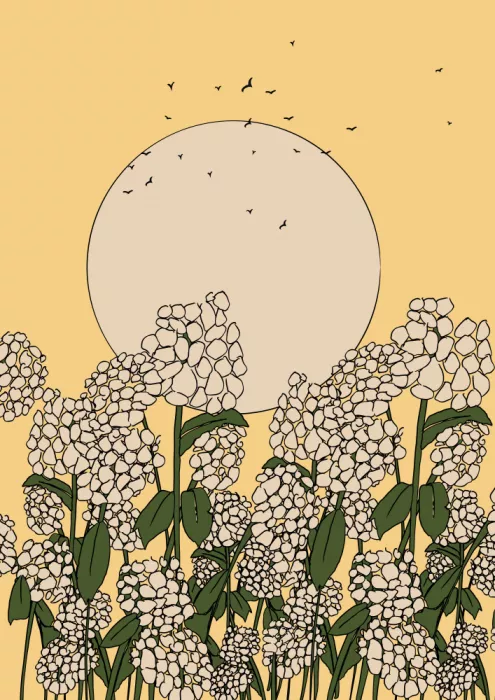 Nicholas: Fiore di ortensia