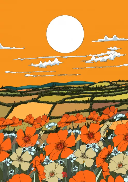Nicholas: Vista di Papaveri al Tramonto
