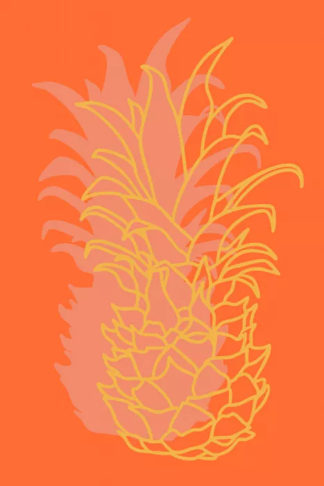 Gustafsson, Yvonne: Ananas arancione