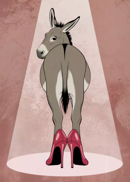 Magnusson, Andreas: Esel in High Heels