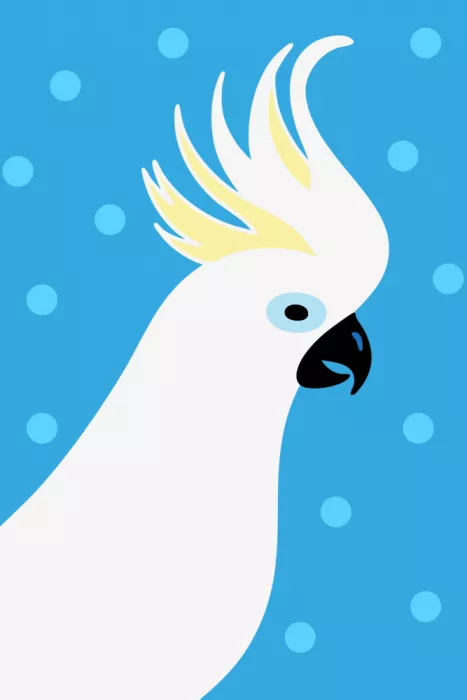 Gustafsson, Yvonne: Cacatua