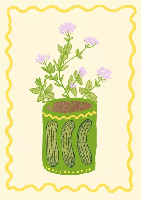 Dolci, Studio: Okurka a oregáno