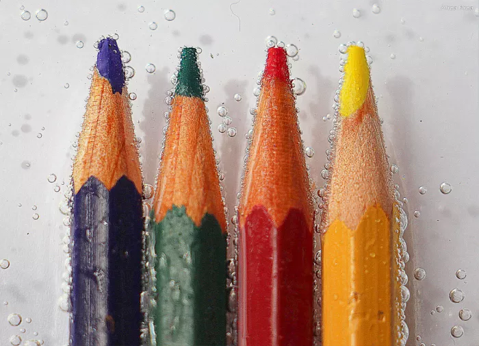 Riza, Aliza: Primary colors