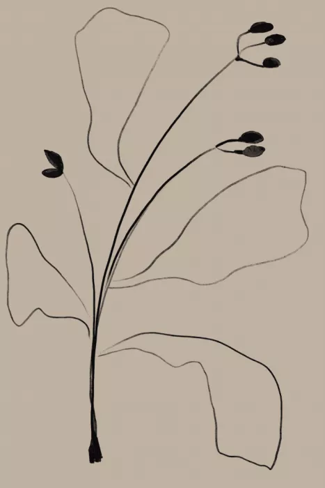 Studio, Miuus The: Einfach Linienpflanze