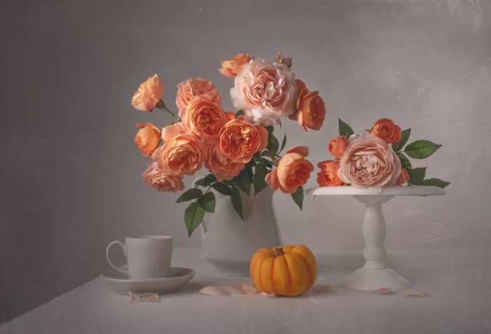 Perfoncio, Margareth: Symphony of colors