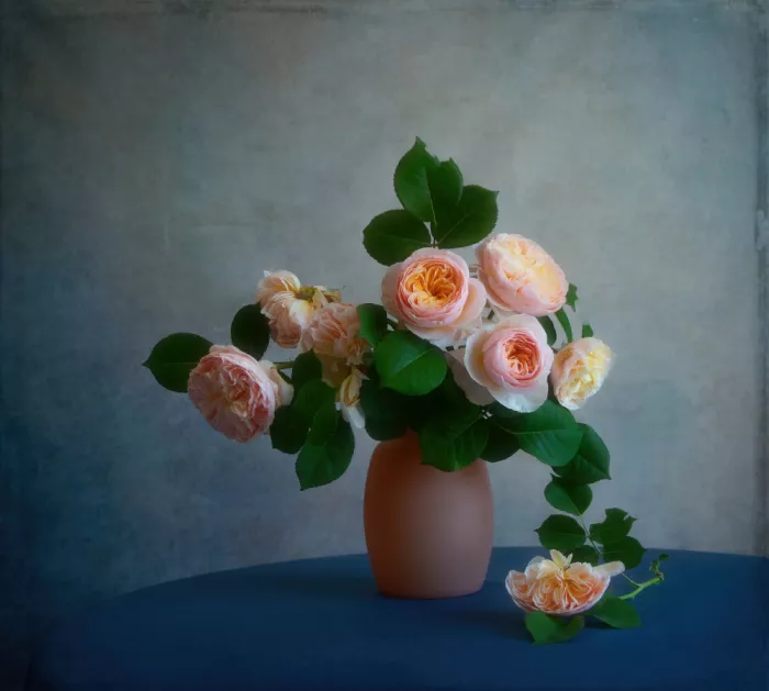 Zhou, Fangping: Apricot Reverie