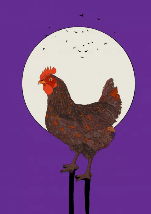 Nicholas: Coq au clair de lune