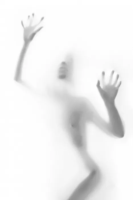 Truong, Van Tran: Trapped Body Behind Soft Veil