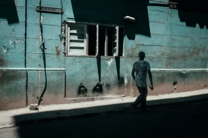 Bauer, Andy: Pared verde