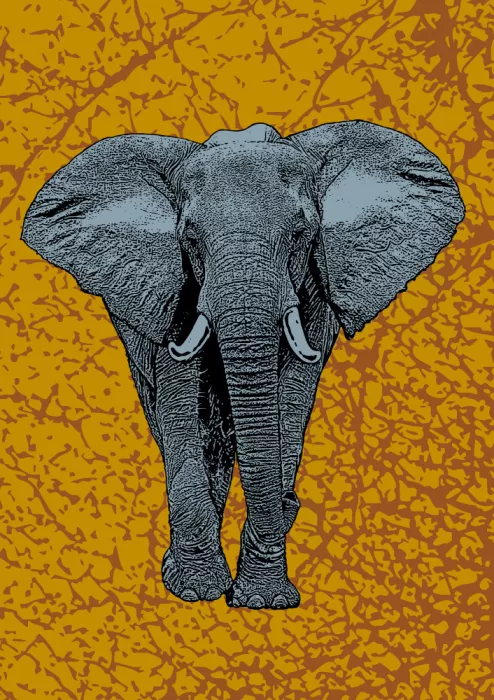 Kaminski, Carlo: Majestic Elephant